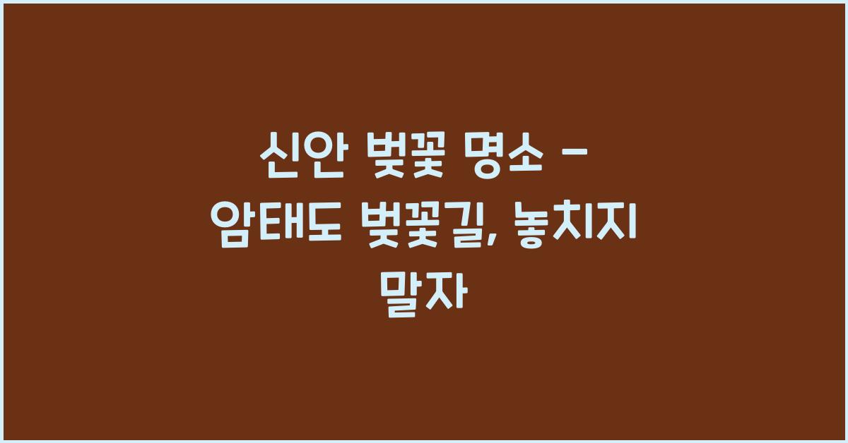 신안 벚꽃 명소