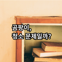 자취방 곰팡이 발생 원인과 예방법을 설명하는 이미지