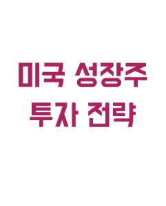 미국 성장주 투자 전략에 관한 이미지 입니다.
