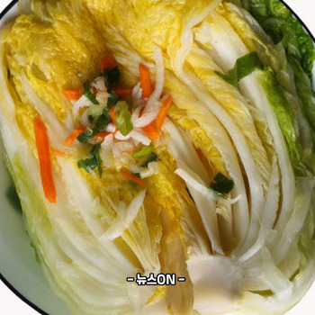 물김치 맛있게 담그는법