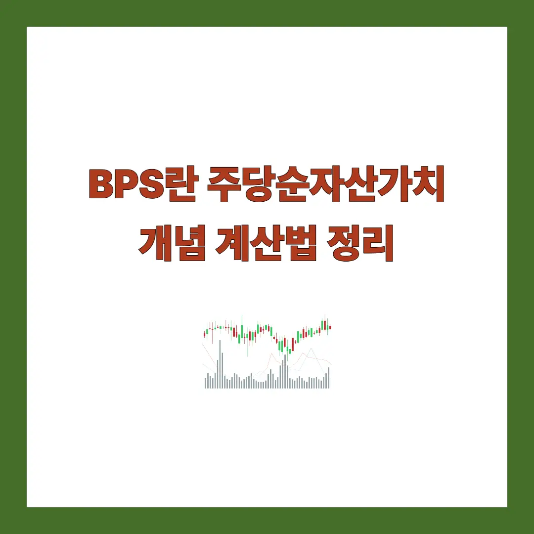 bps란?