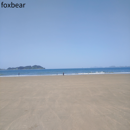 아시아나항공 마일리지