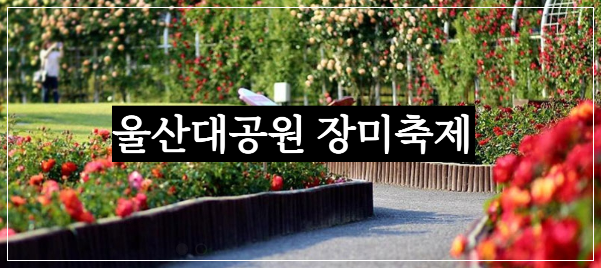 울산대공원 장미축제