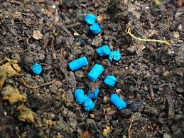 독이 나오는 꿈