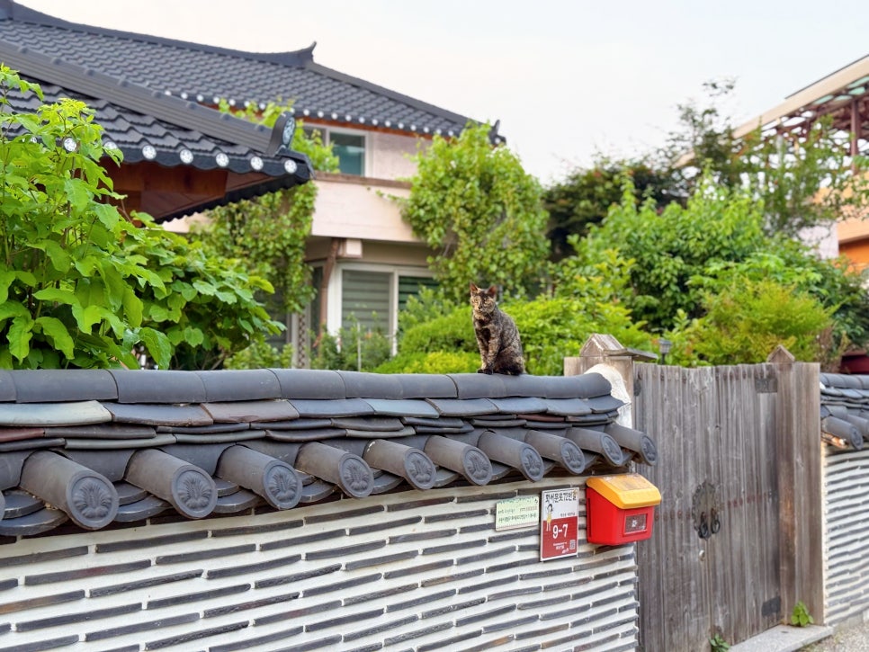 수원 행궁동 벽화마을