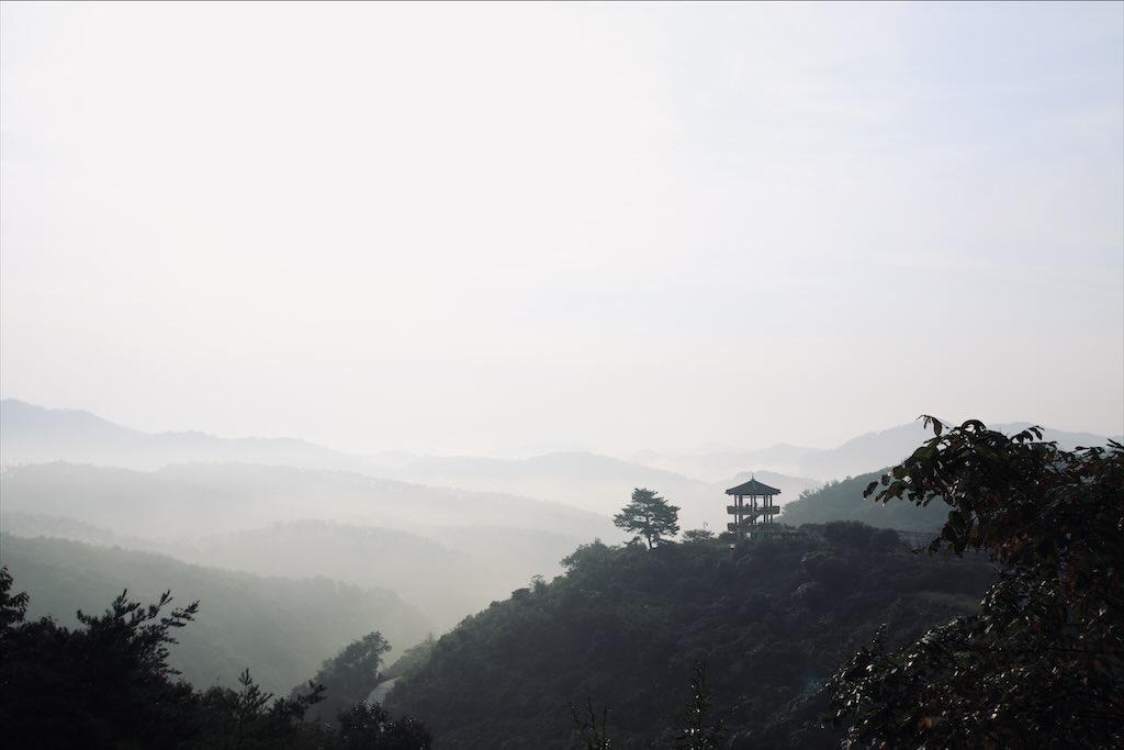 전라북도 옥정호 붕어섬