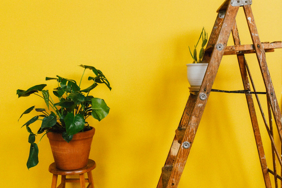 Ladder