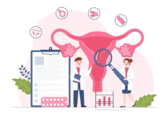 자궁 건강 체크리스트