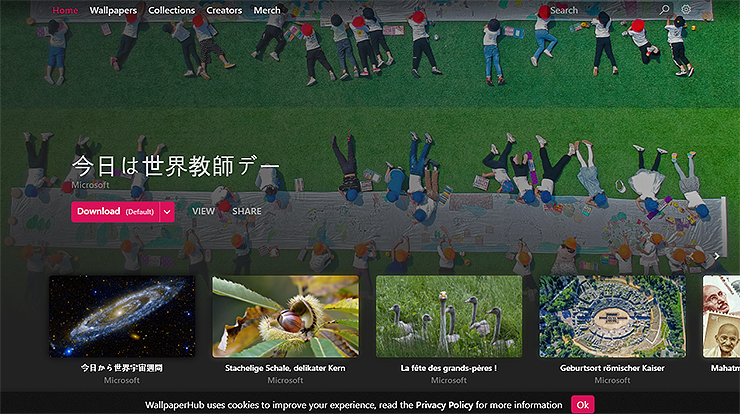 월페이퍼 허브 메인화면