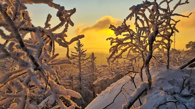 요한 고틀리프 피히테 독일 관념론 철학 세계_7