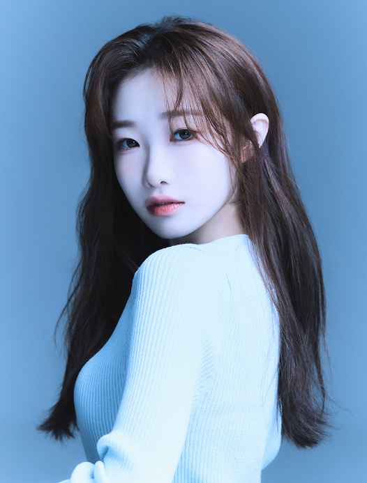 장성 황룡강 길동무 꽃길 축제 주차장 연예인