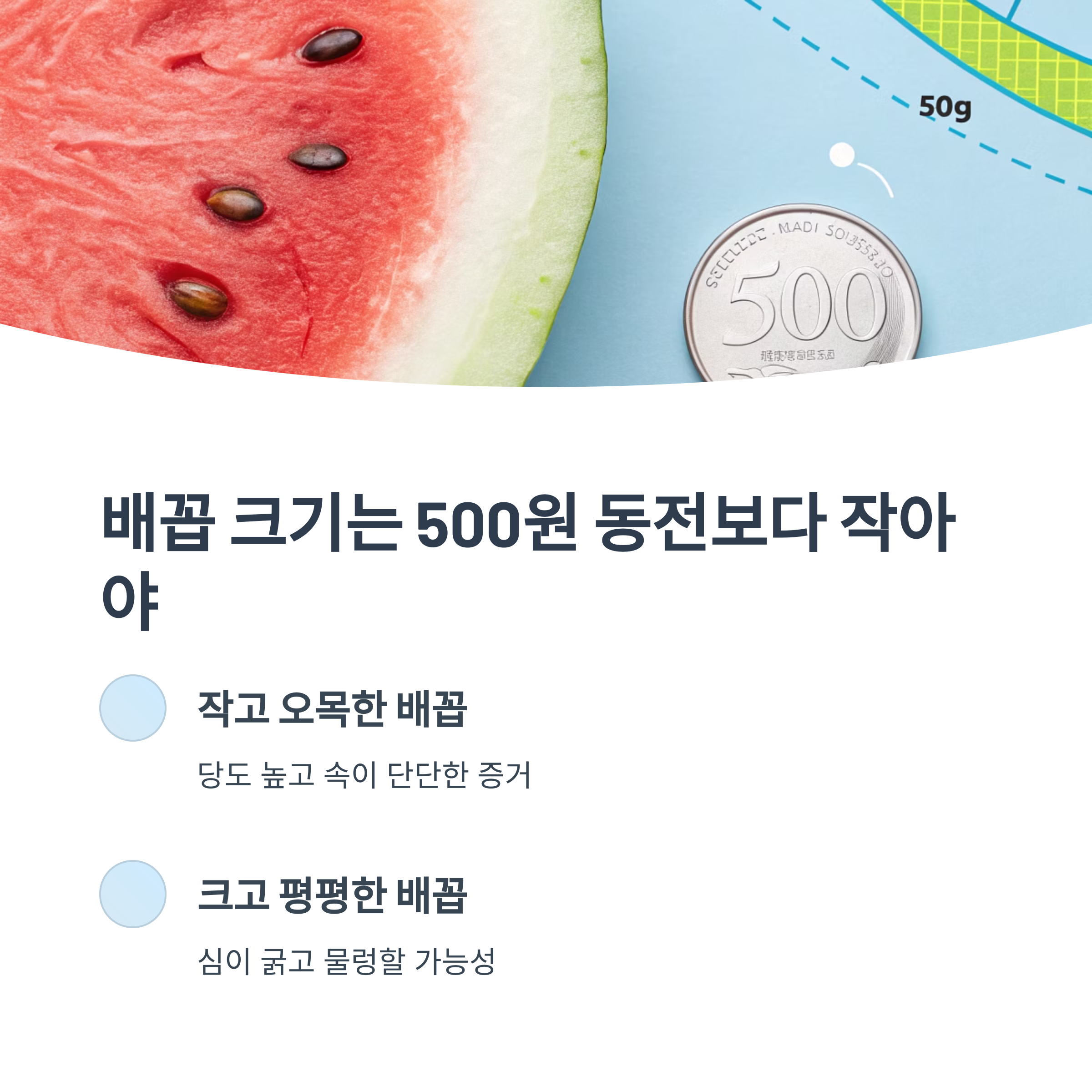 배꼽 크기는 500원 동전보다 작아야