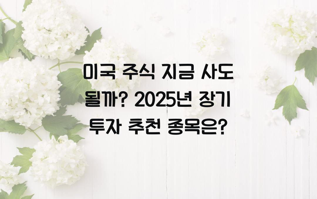 미국 주식 지금 사도 될까? 장기 투자해야 할 종목은?