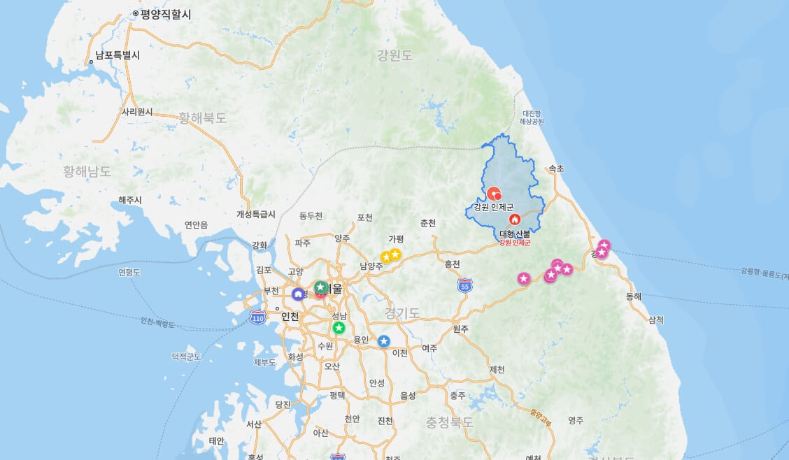 인제 산불 피해 현황