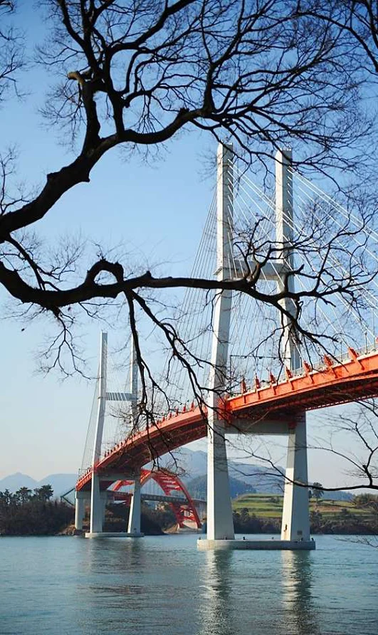 실안해안도로