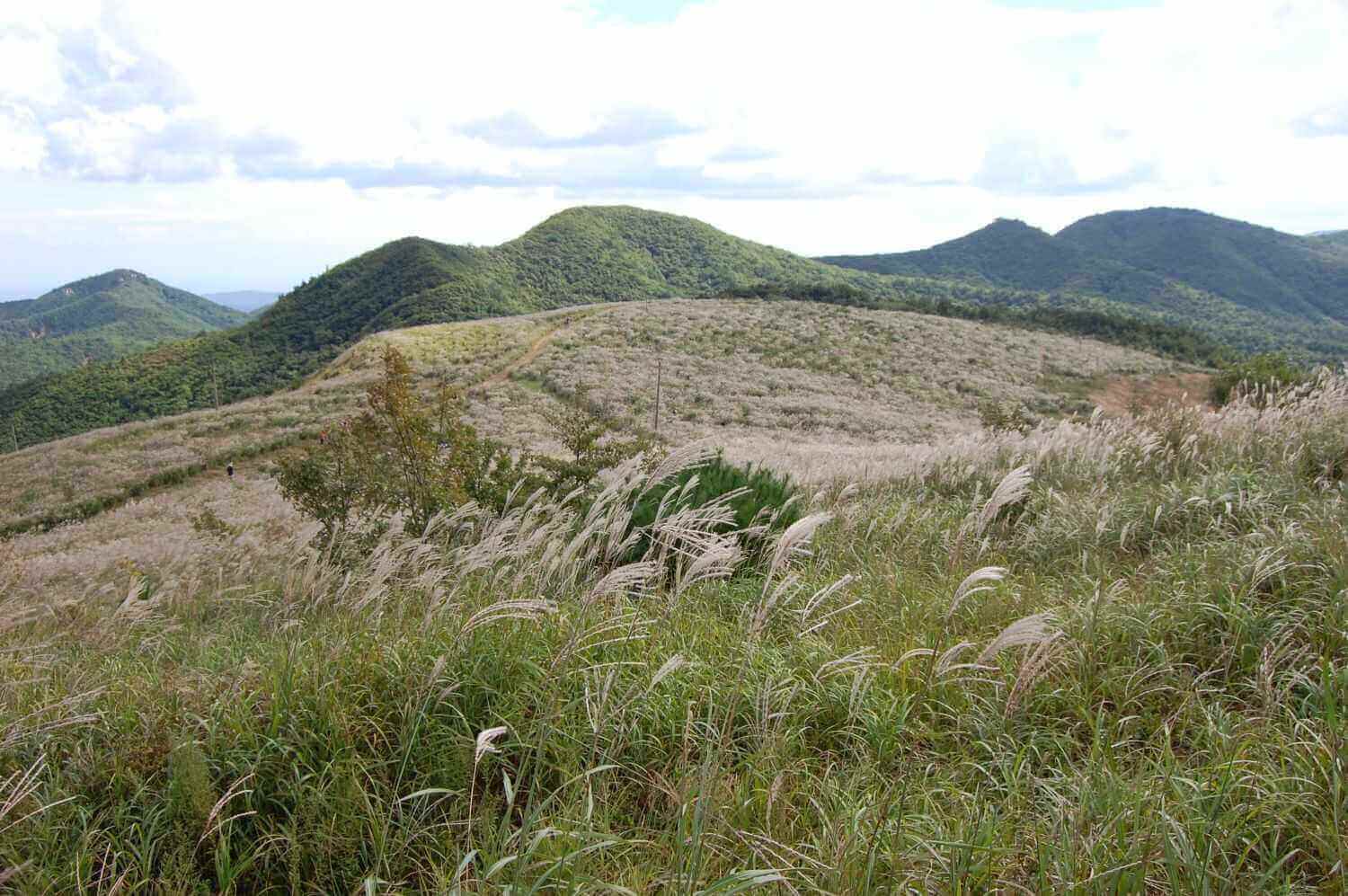 무장산 (사진출처:경북나드리)
