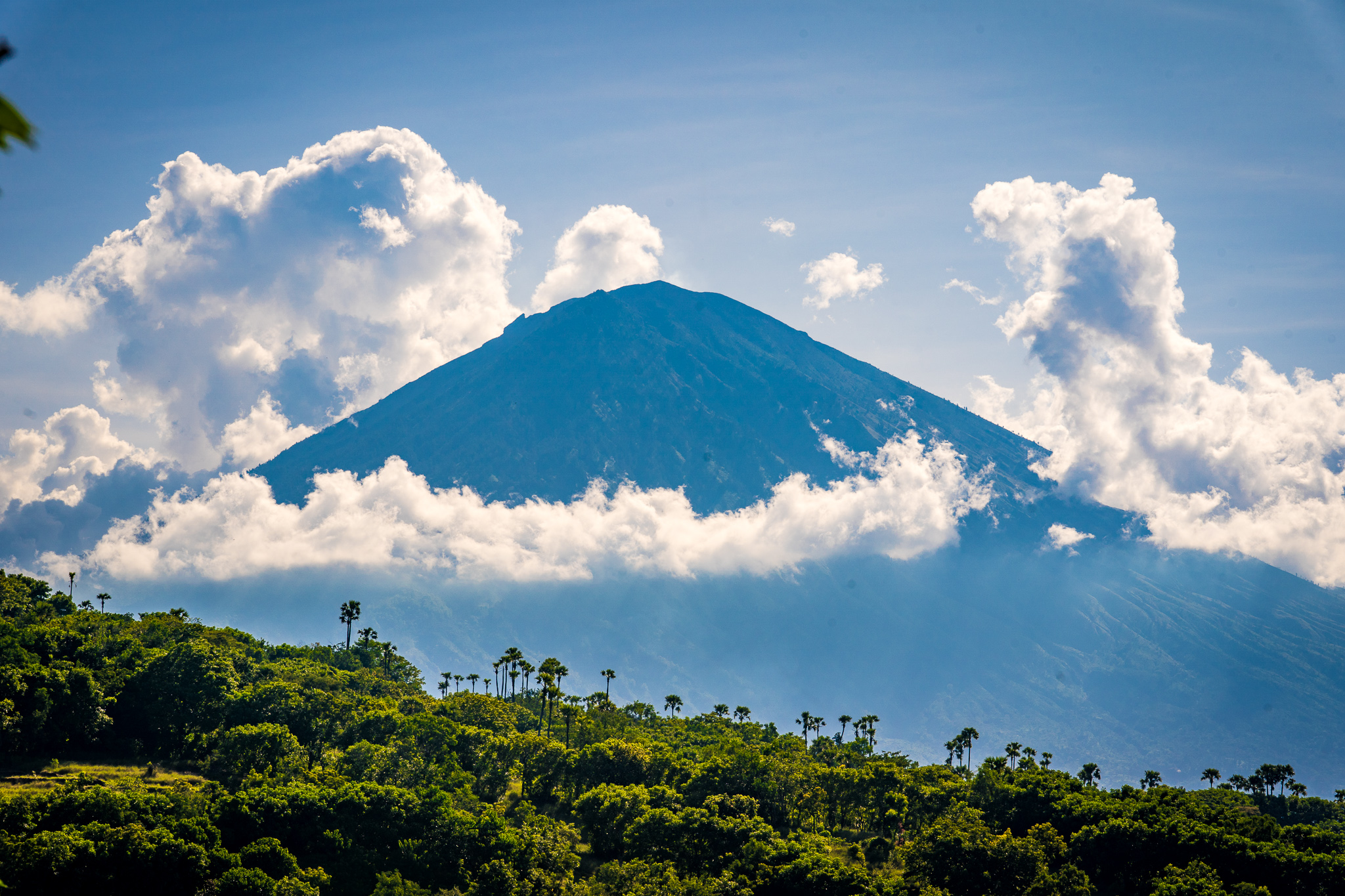 발리 입국 조건