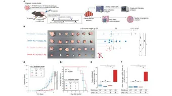 폐암 면역항암제 치료비 절반으로 줄이는 보험 활용 전략으로 실전팁_38