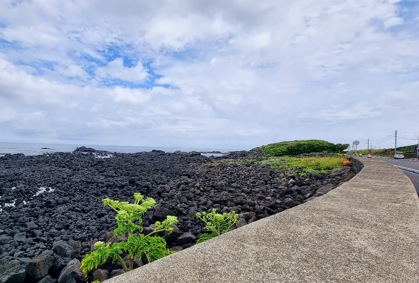 올레3코스 신산환해장성 근처