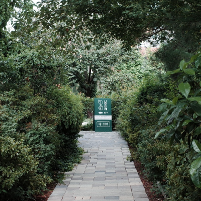 사진1