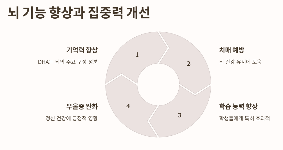하이퍼셀 오메가3 효능 3: 뇌 기능 향상과 집중력 개선
