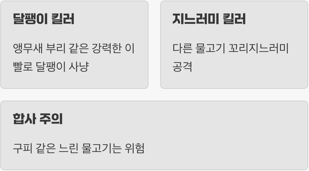 귀여운 외모 속, 숨겨진 '암살자'의 본능