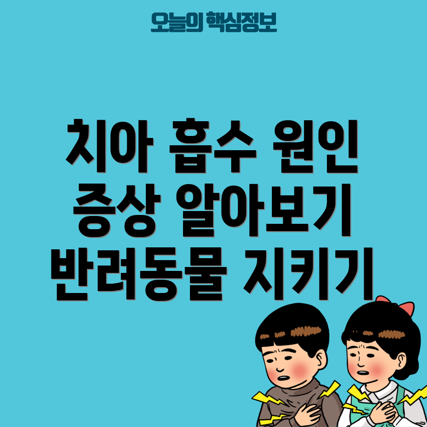 반려동물 치아 흡수