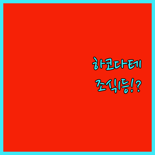 일본 최고 조식 하코다테 온천 호텔 ..
