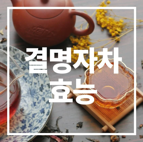 결명자차 효능