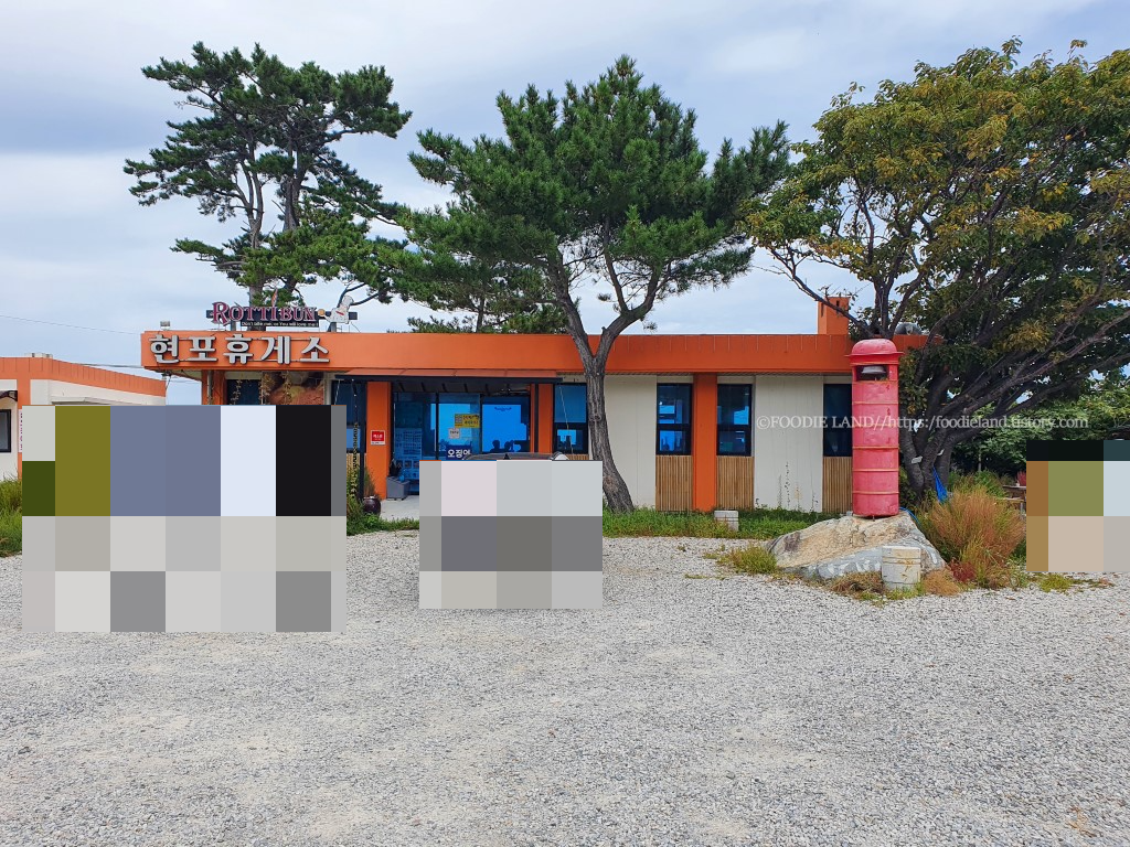 울릉도 북면 맛집 현포 휴게소
