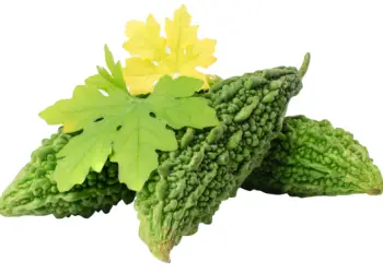 여주 효능과 영양성분, 먹는법