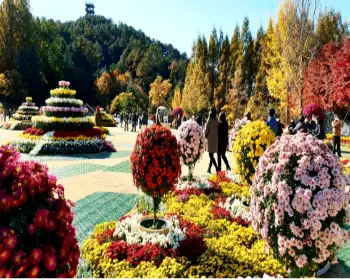 청남대_25