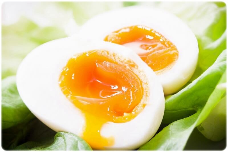 강아지 피부에 좋은 음식