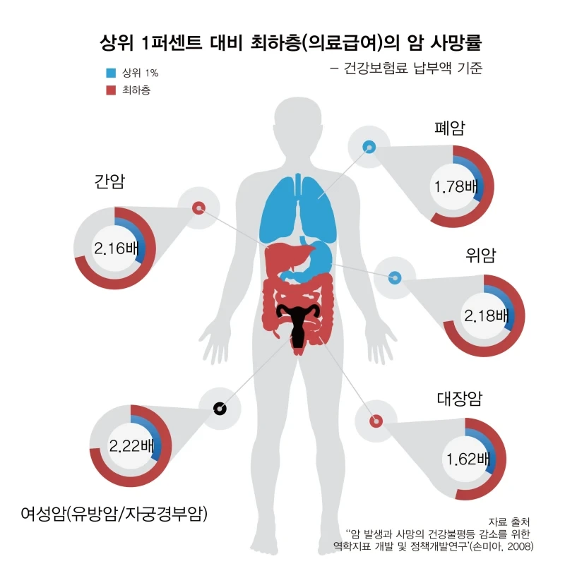 암 발병 순위 사진
