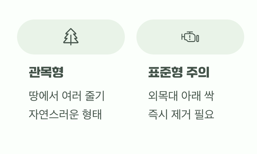 우리 집 환경에 맞는 나무 고르기