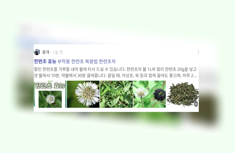 한련초 효능_2_subsection