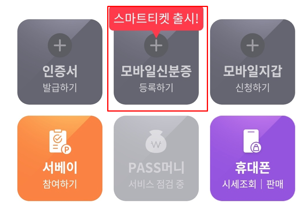 패스 스마트 항공권