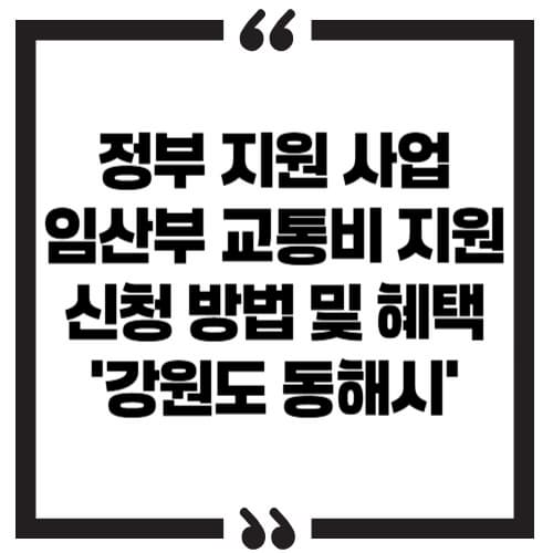 정부 지원 사업 '임산부 교통비 지원' 신청 방법 및 혜택 – 강원특별자치도 동해시