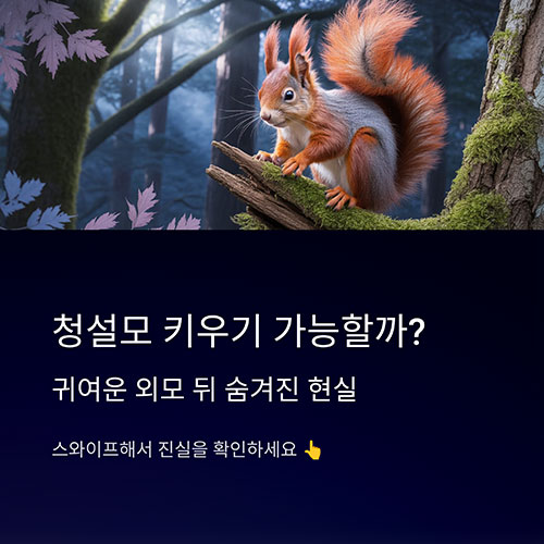 청설모 키우기, 가능할까