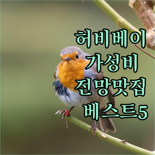 호주 허비베이 숙소 추천 가성비와 전..