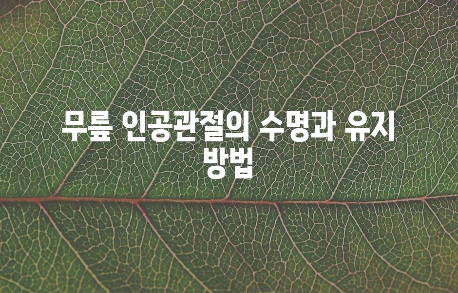샘플 (43)