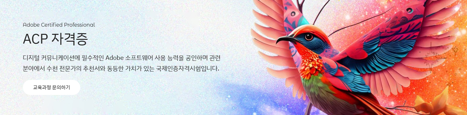 ACP 자격증