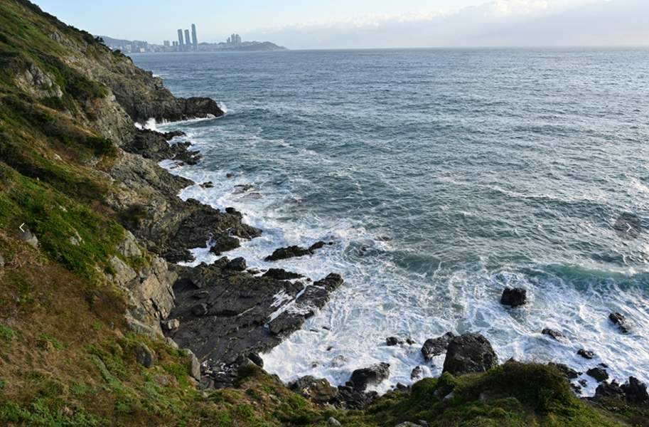 봄나들이 수선화 명소