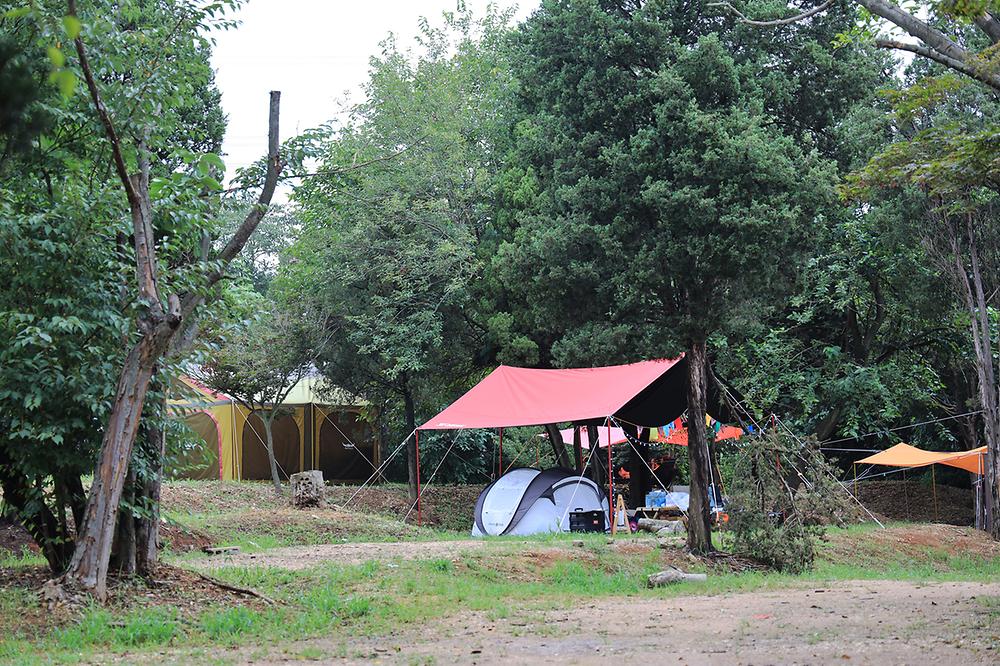 경기도 평택시 갈릴리 야영장 소개