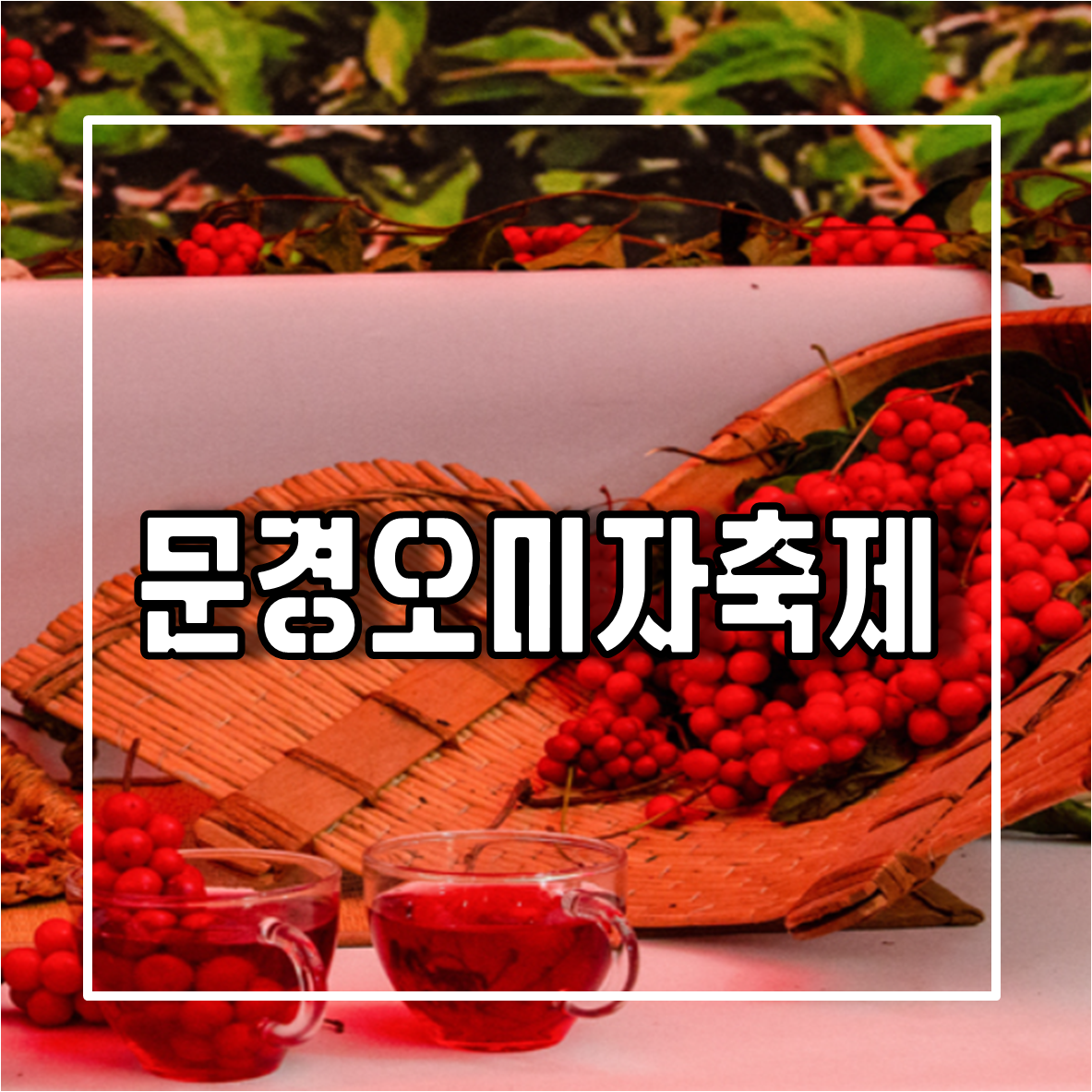 문경오미자축제