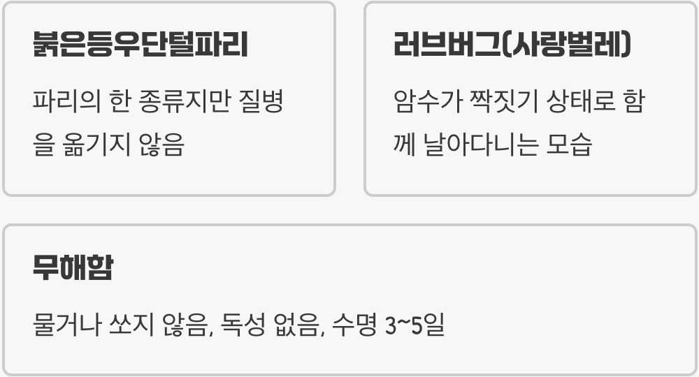 이 벌레, 정체가 뭔가요?