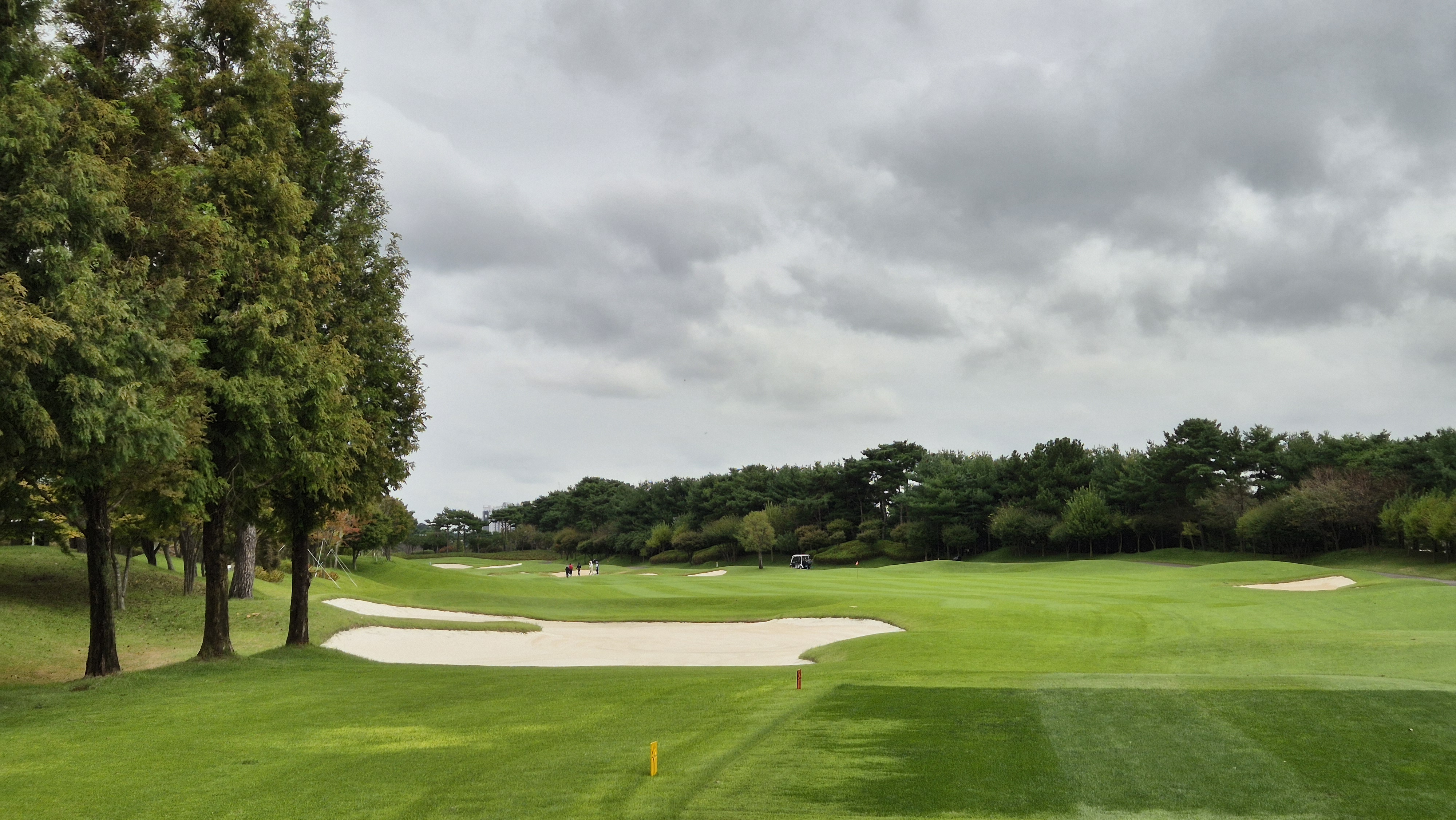 파인스톤cc 파인 코스