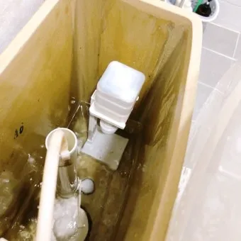 변기 물때 구연산 분무 후브러시로 황변제거 요령_18