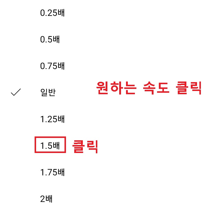 원하는 재생속도 클릭함