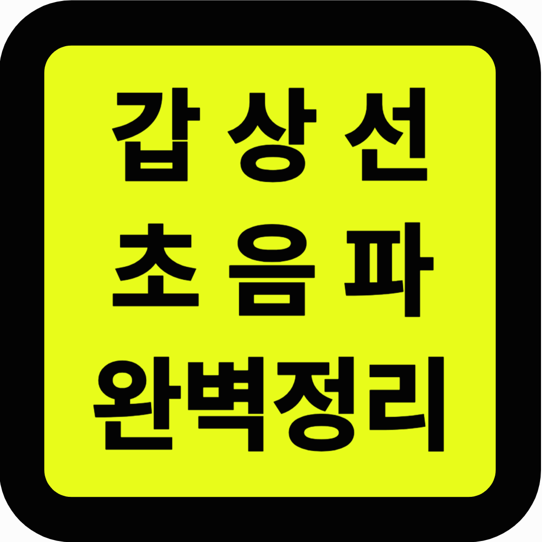 갑상선 초음파 완벽정리